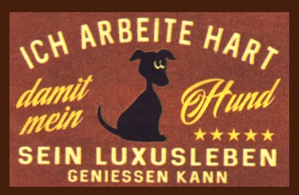 hunde-4.jpg