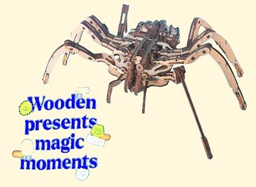 Spinne
